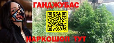 стафф Гай