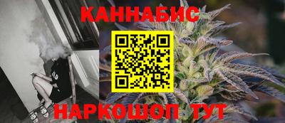 гидра Гатчина