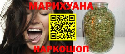 стафф Гай