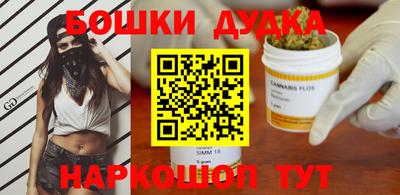 стафф Гай