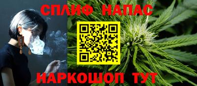 гидра Гатчина
