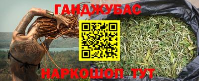 стафф Гай