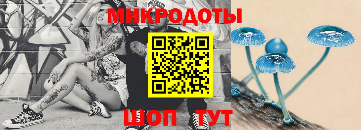 Галлюциногенные грибы Magic Shrooms  Вход с VPN  Великий Новгород  Псилоцибиновые грибы мицелий 