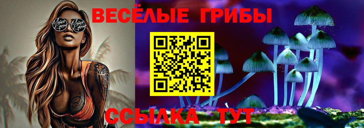 Галлюциногенные грибы прущие грибы Великий Новгород